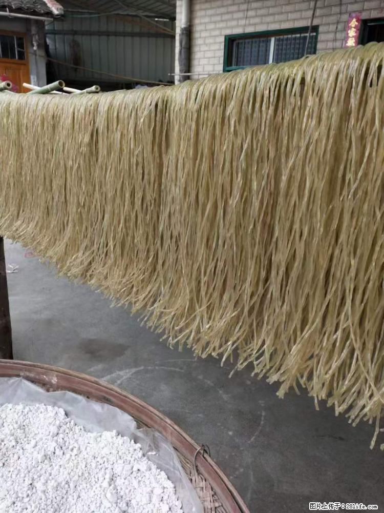 【灌阳正宗红薯粉】美女家里自己做的，干净卫生，假一赔十，价格合理，抢购电话：13737312895 - 美食天地 - 驻马店生活社区 - 驻马店28生活网 zmd.28life.net