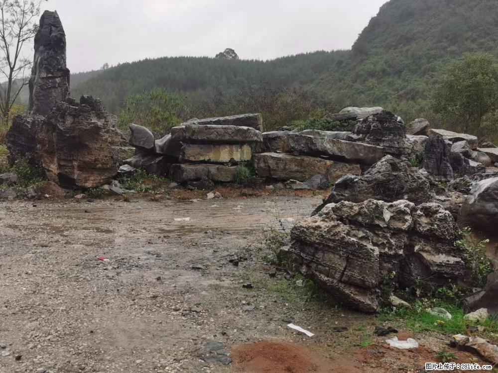 风景石、假山石大量有货，有需要的欢迎联系 - 新手上路 - 驻马店生活社区 - 驻马店28生活网 zmd.28life.net