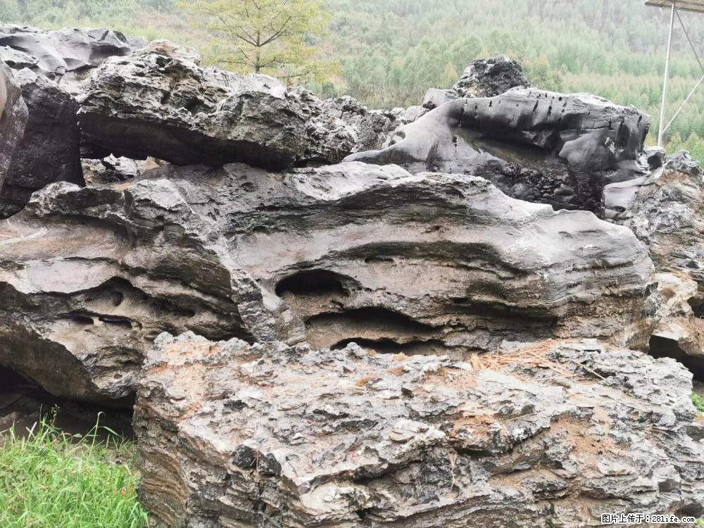风景石、假山石大量有货，有需要的欢迎联系 - 新手上路 - 驻马店生活社区 - 驻马店28生活网 zmd.28life.net