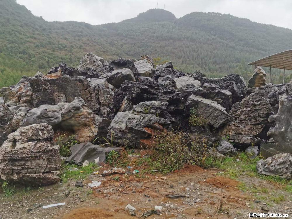 风景石、假山石大量有货，有需要的欢迎联系 - 新手上路 - 驻马店生活社区 - 驻马店28生活网 zmd.28life.net