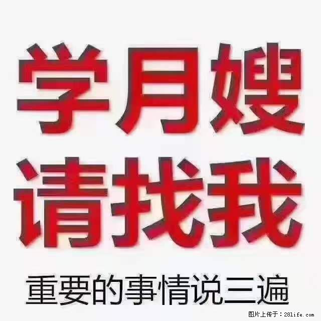为什么要学习月嫂，育婴师？ - 其他广告 - 广告专区 - 驻马店分类信息 - 驻马店28生活网 zmd.28life.net