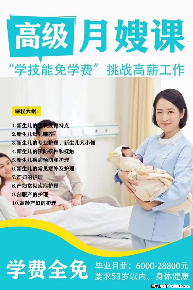 为什么要学习月嫂，育婴师？ - 其他广告 - 广告专区 - 驻马店分类信息 - 驻马店28生活网 zmd.28life.net