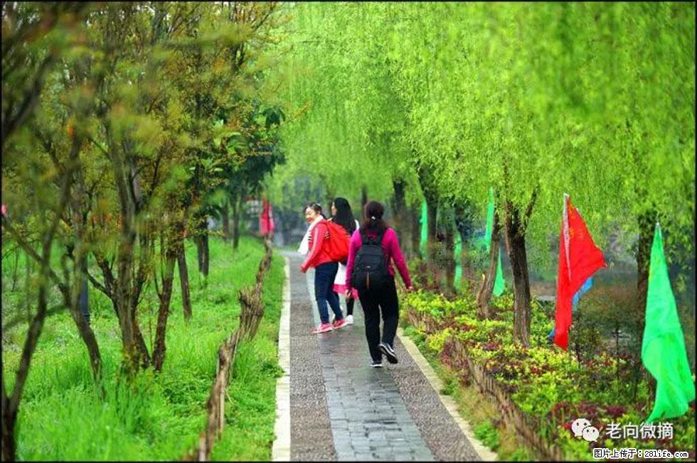 【春天，广西桂林灌阳县向您发出邀请！】江口老街又逢春 - 游山玩水 - 驻马店生活社区 - 驻马店28生活网 zmd.28life.net
