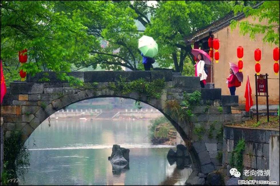 【春天，广西桂林灌阳县向您发出邀请！】江口老街又逢春 - 游山玩水 - 驻马店生活社区 - 驻马店28生活网 zmd.28life.net