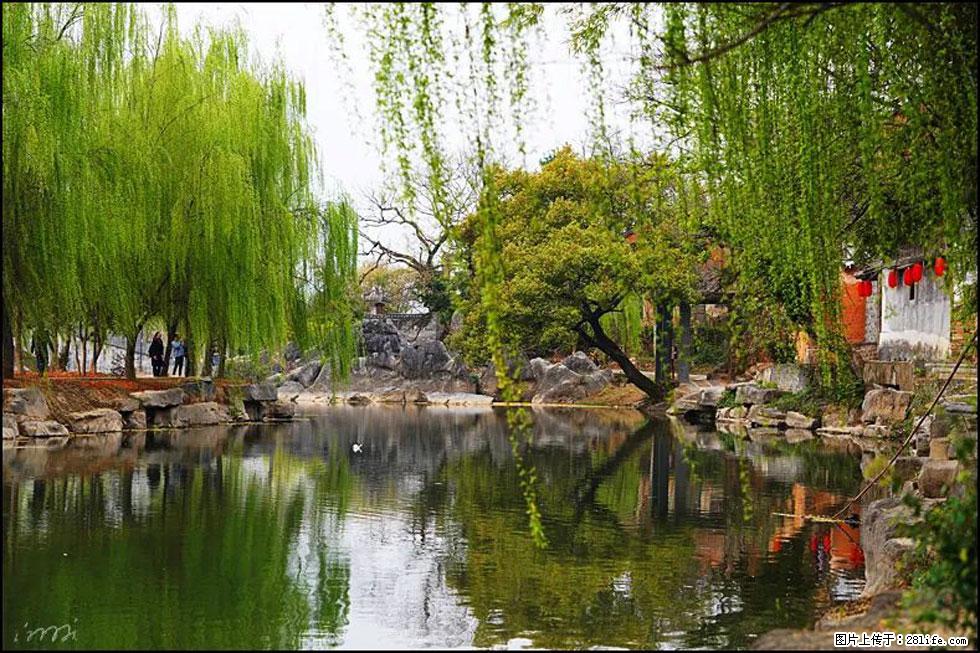 【春天，广西桂林灌阳县向您发出邀请！】江口老街又逢春 - 游山玩水 - 驻马店生活社区 - 驻马店28生活网 zmd.28life.net