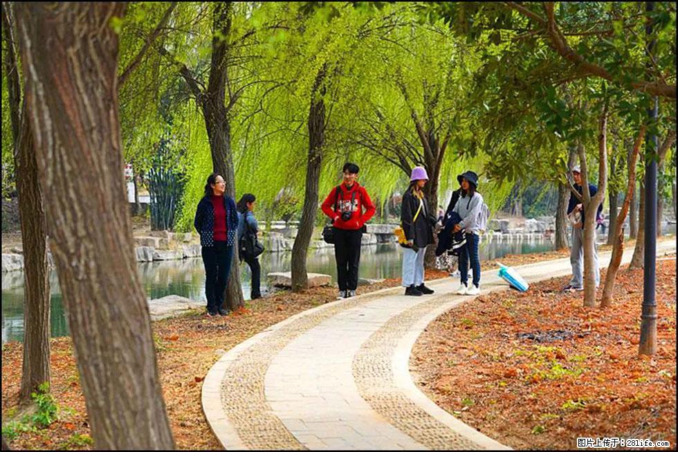 【春天，广西桂林灌阳县向您发出邀请！】江口老街又逢春 - 游山玩水 - 驻马店生活社区 - 驻马店28生活网 zmd.28life.net