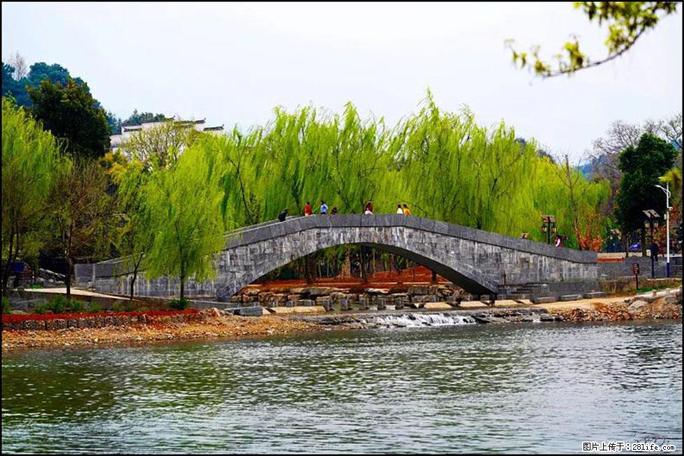 【春天，广西桂林灌阳县向您发出邀请！】江口老街又逢春 - 游山玩水 - 驻马店生活社区 - 驻马店28生活网 zmd.28life.net