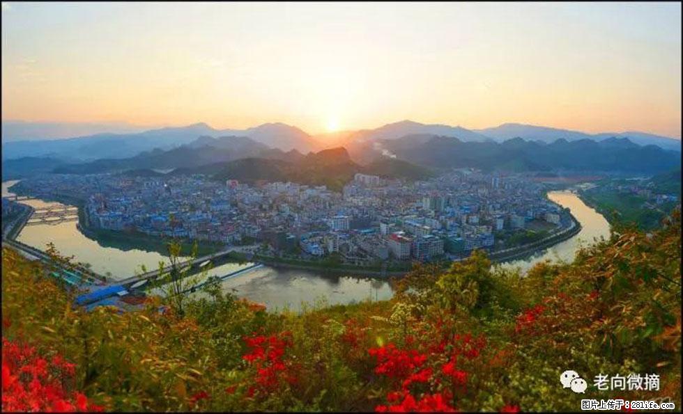 【春天，广西桂林灌阳县向您发出邀请！】登麒麟山，相约映山红 - 游山玩水 - 驻马店生活社区 - 驻马店28生活网 zmd.28life.net