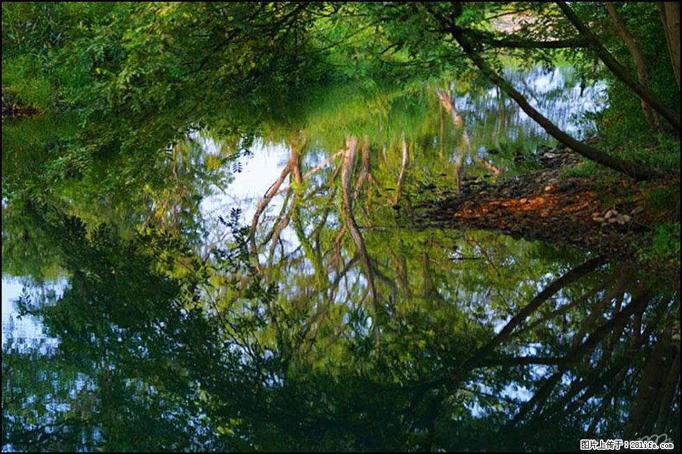 【春天，广西桂林灌阳县向您发出邀请！】熊家寨湿地公园 - 游山玩水 - 驻马店生活社区 - 驻马店28生活网 zmd.28life.net