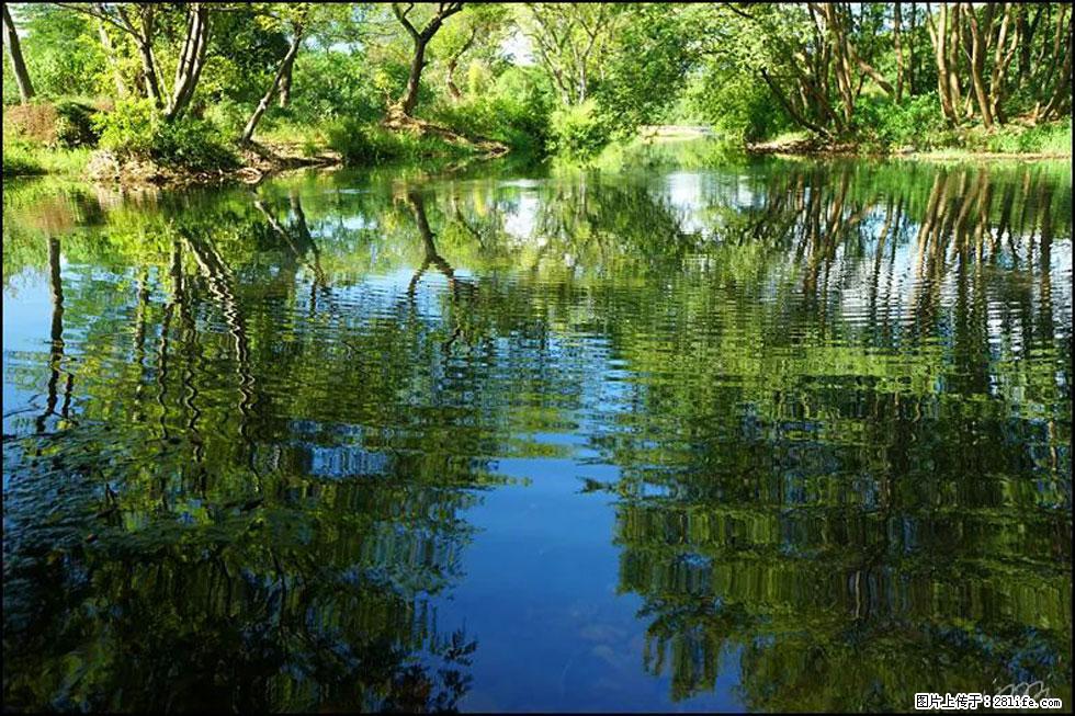 【春天，广西桂林灌阳县向您发出邀请！】熊家寨湿地公园 - 游山玩水 - 驻马店生活社区 - 驻马店28生活网 zmd.28life.net