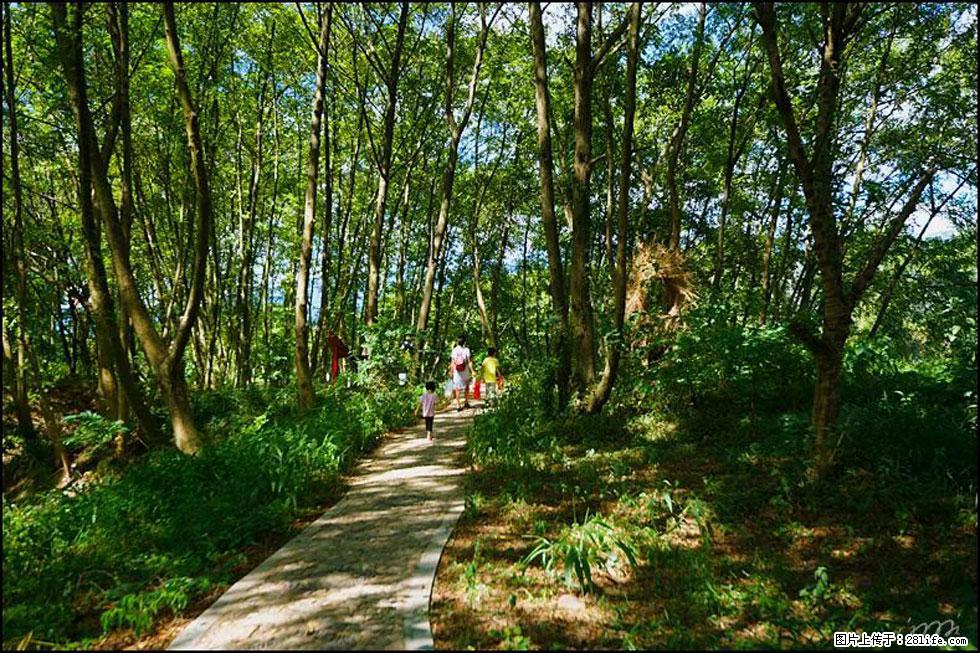 【春天，广西桂林灌阳县向您发出邀请！】熊家寨湿地公园 - 游山玩水 - 驻马店生活社区 - 驻马店28生活网 zmd.28life.net