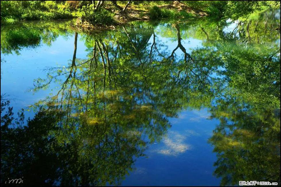 【春天，广西桂林灌阳县向您发出邀请！】熊家寨湿地公园 - 游山玩水 - 驻马店生活社区 - 驻马店28生活网 zmd.28life.net