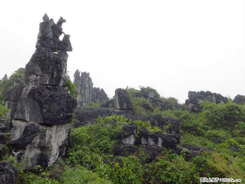 桂林旅游名城景点：灌阳文市石林 - 游山玩水 - 驻马店生活社区 - 驻马店28生活网 zmd.28life.net