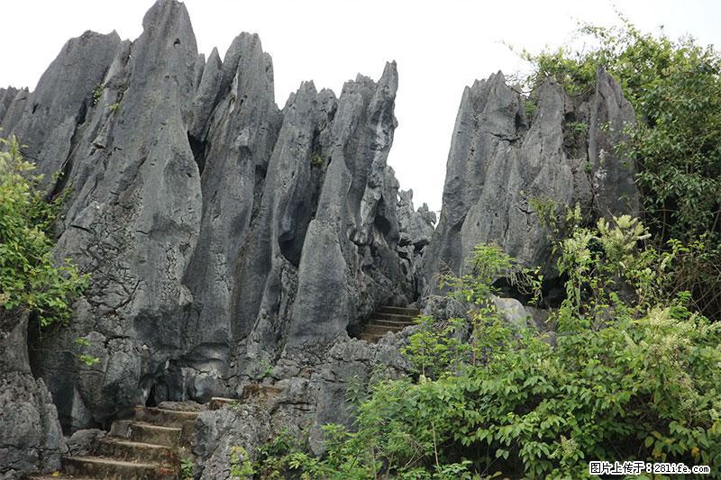 桂林旅游名城景点：灌阳文市石林 - 游山玩水 - 驻马店生活社区 - 驻马店28生活网 zmd.28life.net