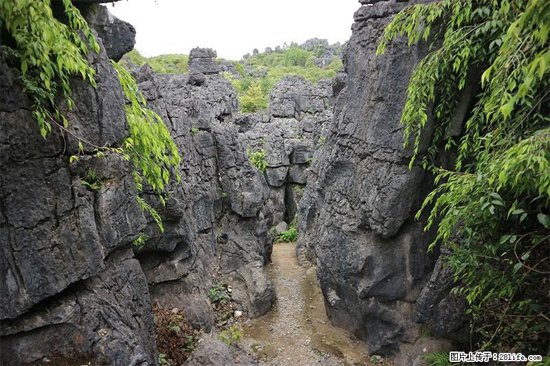 桂林旅游名城景点：灌阳文市石林 - 游山玩水 - 驻马店生活社区 - 驻马店28生活网 zmd.28life.net