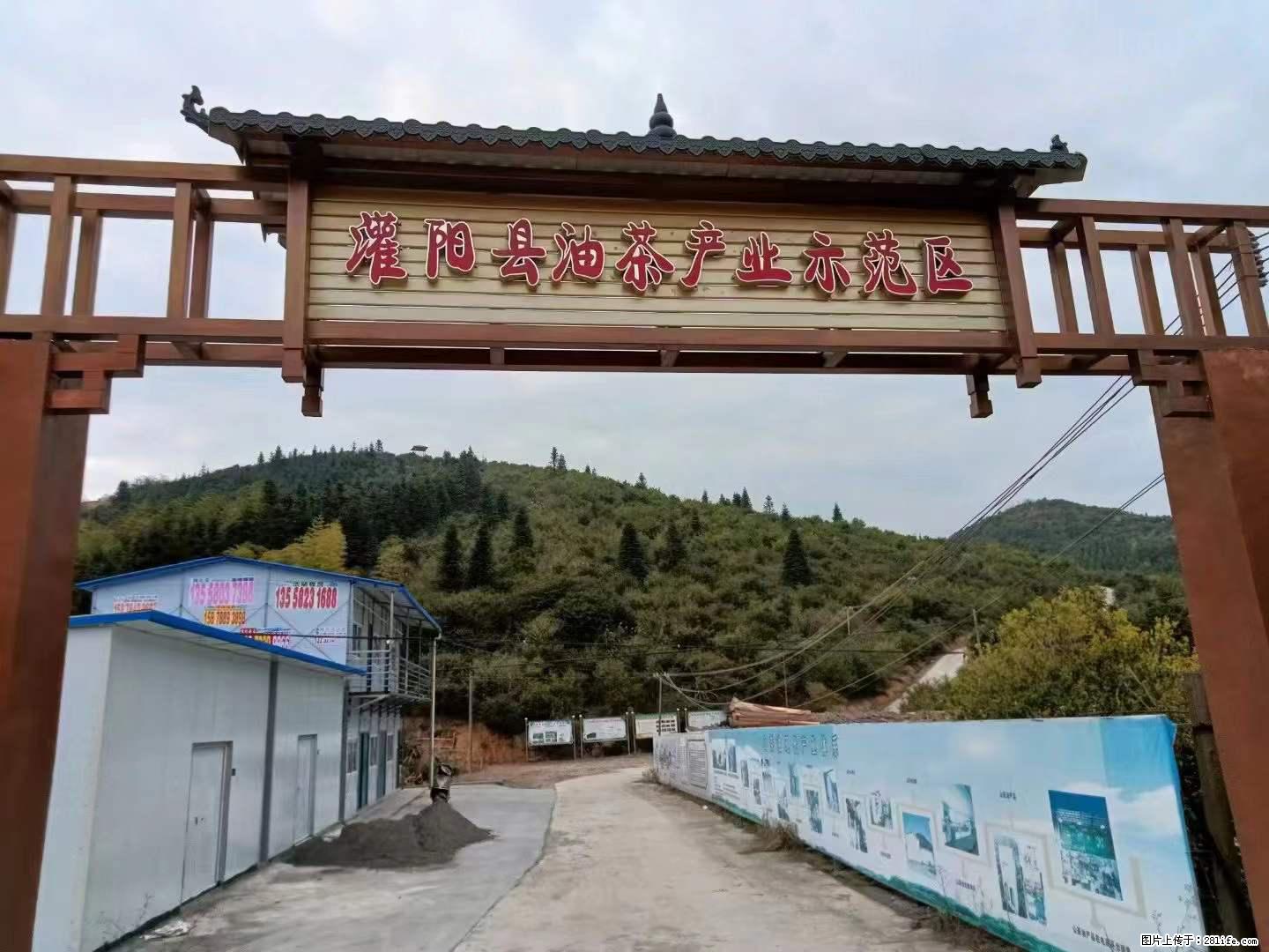 【灌阳县油茶产业示范区】一个有着充实的精神生活的人,对待身外之物自会有一种淡泊的态度 - 美食天地 - 驻马店生活社区 - 驻马店28生活网 zmd.28life.net