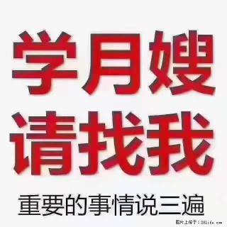 为什么要学习月嫂，育婴师？ - 驻马店28生活网 zmd.28life.net