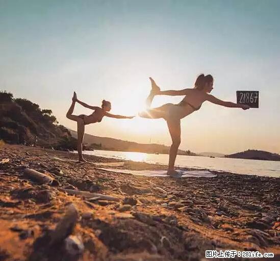 辞掉工作周游世界？现在他们在洗厕所…… - 游山玩水 - 驻马店生活社区 - 驻马店28生活网 zmd.28life.net