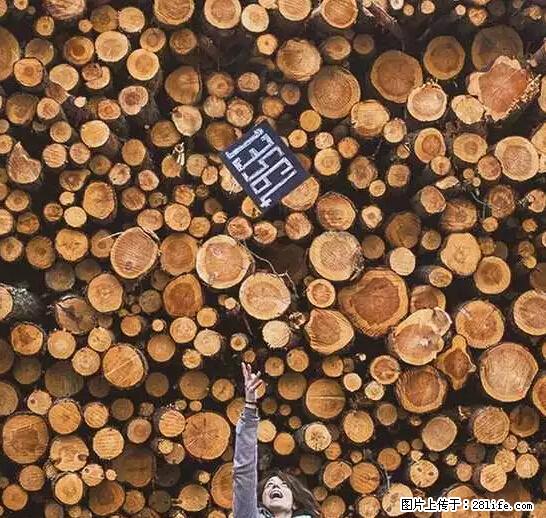 辞掉工作周游世界？现在他们在洗厕所…… - 游山玩水 - 驻马店生活社区 - 驻马店28生活网 zmd.28life.net