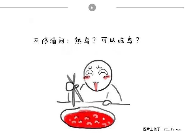 千万不要和这9种哈卵一起吃火锅！ - 美食天地 - 驻马店生活社区 - 驻马店28生活网 zmd.28life.net