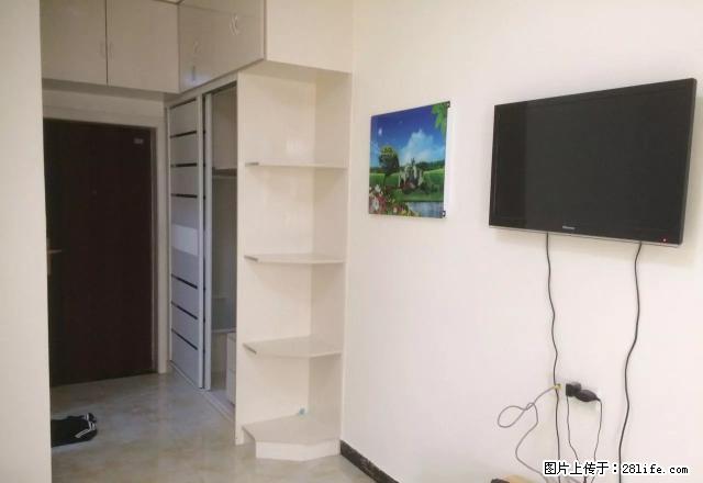 情侣公寓实验学校附近天中第1大街豪华装修1000 - 房屋出租 - 房屋租售 - 驻马店分类信息 - 驻马店28生活网 zmd.28life.net