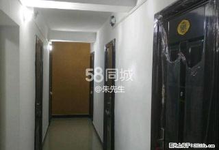 精装单间解放路中段电业局对面 1室1厅0卫 - 驻马店28生活网 zmd.28life.net