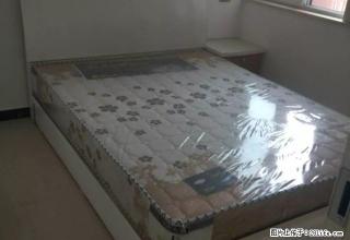 两室两厅一卫 家电齐全拎包就住欢迎来电 - 驻马店28生活网 zmd.28life.net