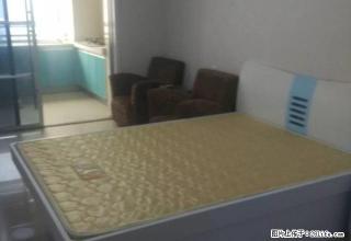 一室一厅一厨一卫 家电齐全拎包就住欢迎来电 - 驻马店28生活网 zmd.28life.net