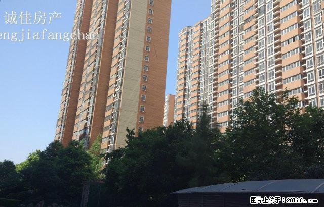 东高国际花园 中等装修 拎包可入住 - 房屋出租 - 房屋租售 - 驻马店分类信息 - 驻马店28生活网 zmd.28life.net