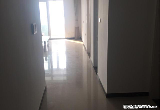 建业十八城 金雀路西段 精装2居 阳光好 拎包入住 - 房屋出租 - 房屋租售 - 驻马店分类信息 - 驻马店28生活网 zmd.28life.net