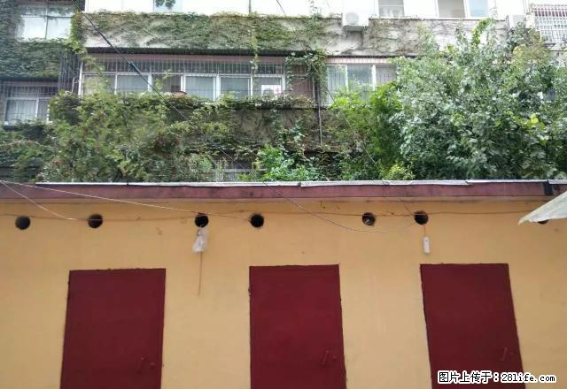 乐山路一高分校100平两室两厅中装拎包入住带配房年租一万 - 房屋出租 - 房屋租售 - 驻马店分类信息 - 驻马店28生活网 zmd.28life.net