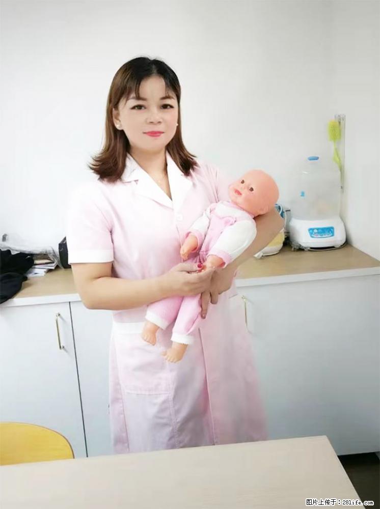 上海高端月子会所招新手月嫂，零基础带教，包吃住 - 职场交流 - 驻马店生活社区 - 驻马店28生活网 zmd.28life.net