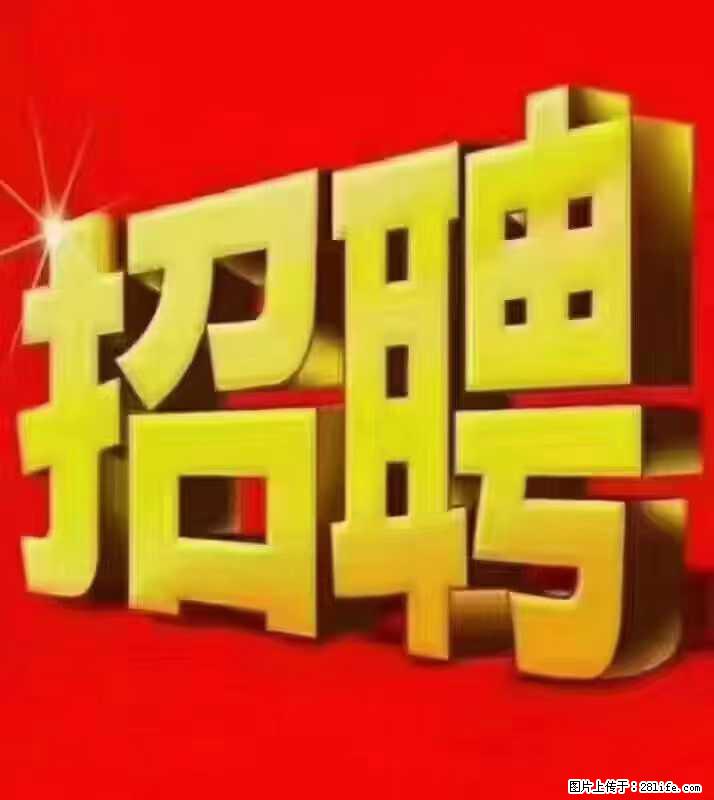 【东莞市威萨电子科技有限公司】公司直招：外贸业务、仓管员、跟单文员、普工 - 职场交流 - 驻马店生活社区 - 驻马店28生活网 zmd.28life.net