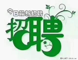 【招聘摄像师】待遇：试用期6000元/月，转正7000元/月+五险一金+餐补+节日福利+奖金 - 驻马店28生活网 zmd.28life.net