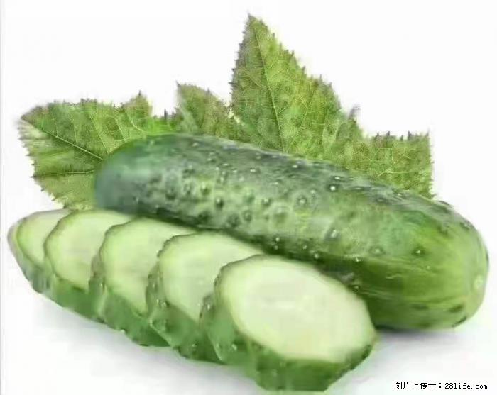 【生活小常识】吃黄瓜的好处 - 生活百科 - 驻马店生活社区 - 驻马店28生活网 zmd.28life.net