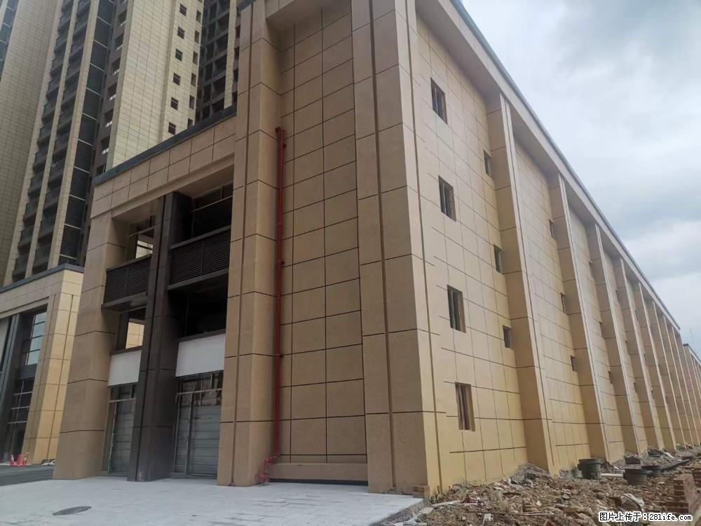 【广西三象建筑安装工程有限公司】外墙涂料工程 - 新手上路 - 驻马店生活社区 - 驻马店28生活网 zmd.28life.net
