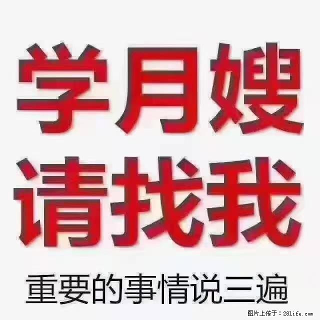 【招聘】月嫂，上海徐汇区 - 职场交流 - 驻马店生活社区 - 驻马店28生活网 zmd.28life.net