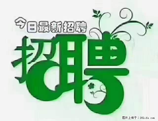 急聘！急聘！上海酒店长期前台，做六休一，每天8小时，6000块钱一月 - 职场交流 - 驻马店生活社区 - 驻马店28生活网 zmd.28life.net