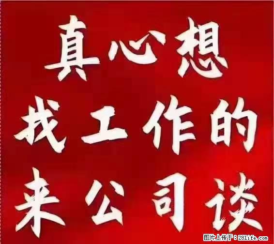 【上海】国企，医院招两名男保安，55岁以下，身高1.7米以上，无犯罪记录不良嗜好 - 职场交流 - 驻马店生活社区 - 驻马店28生活网 zmd.28life.net