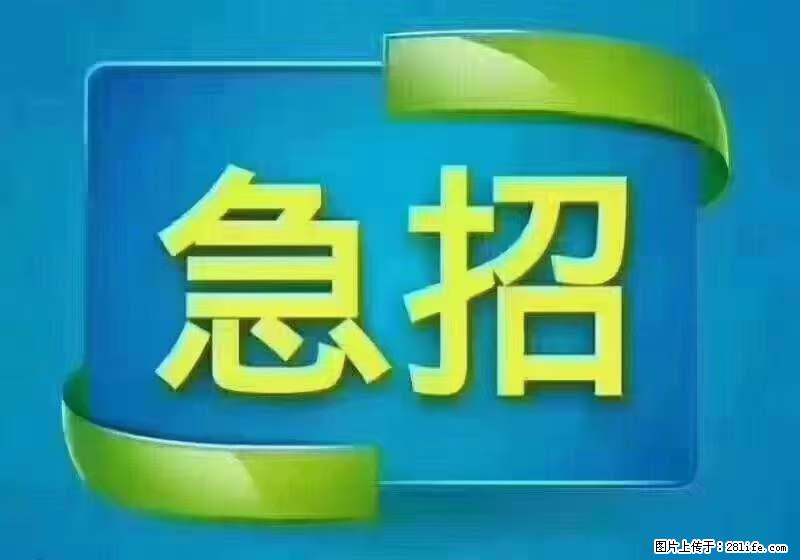 招出纳8000元/月，无证可以，要有相关经验，上海五险一金，包住，包工作餐，做六休一。 - 职场交流 - 驻马店生活社区 - 驻马店28生活网 zmd.28life.net