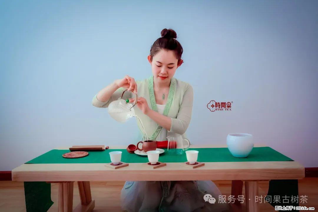 时间果百年古树龙珠普洱生茶 - 购物交流 - 驻马店生活社区 - 驻马店28生活网 zmd.28life.net