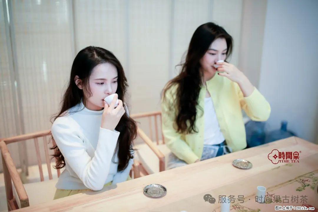 时间果百年古树龙珠普洱生茶 - 购物交流 - 驻马店生活社区 - 驻马店28生活网 zmd.28life.net