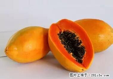 晕车、脚气、牙齿变黄、皮肤粗糙?学会这些三分钟搞定! - 驻马店生活资讯 - 驻马店28生活网 zmd.28life.net