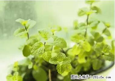 晕车、脚气、牙齿变黄、皮肤粗糙?学会这些三分钟搞定! - 驻马店生活资讯 - 驻马店28生活网 zmd.28life.net