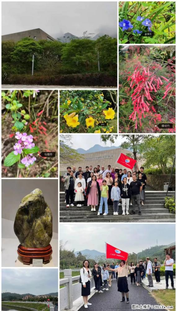 “粤灌文化 美好生活”油茶文化主题活动在广东深圳成功举办 - 驻马店生活资讯 - 驻马店28生活网 zmd.28life.net