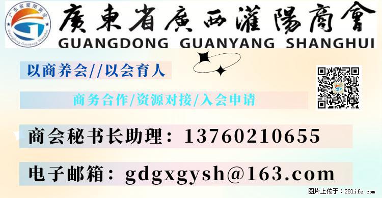 “粤灌文化 美好生活”油茶文化主题活动在广东深圳成功举办 - 驻马店生活资讯 - 驻马店28生活网 zmd.28life.net