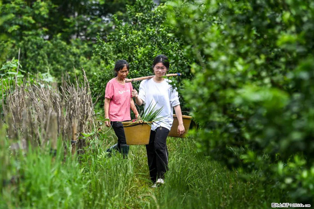 全网追的“扁担女孩”,找了一份暑假工,时薪12元 - 驻马店生活资讯 - 驻马店28生活网 zmd.28life.net