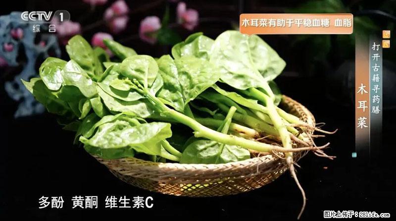 比牛奶补钙还厉害！凉血解毒、稳血糖...这菜冬天必吃，很多人却当草 - 驻马店生活资讯 - 驻马店28生活网 zmd.28life.net