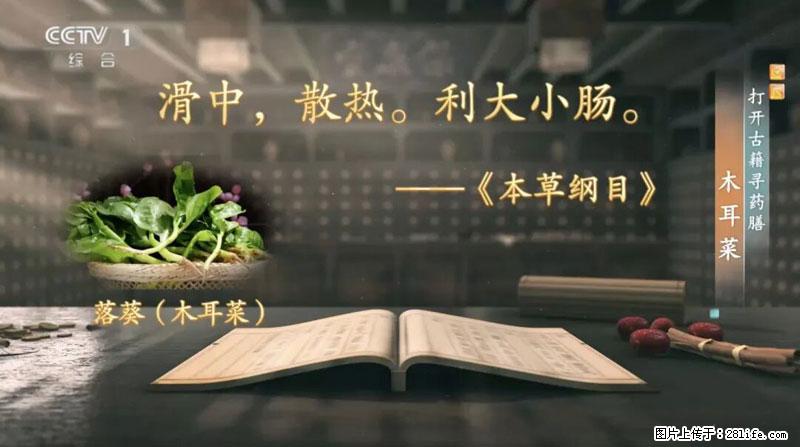 比牛奶补钙还厉害！凉血解毒、稳血糖...这菜冬天必吃，很多人却当草 - 驻马店生活资讯 - 驻马店28生活网 zmd.28life.net