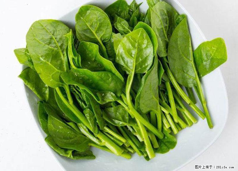 这些蔬菜是“天然钙片”，这6种被医生重点推荐 - 驻马店生活资讯 - 驻马店28生活网 zmd.28life.net